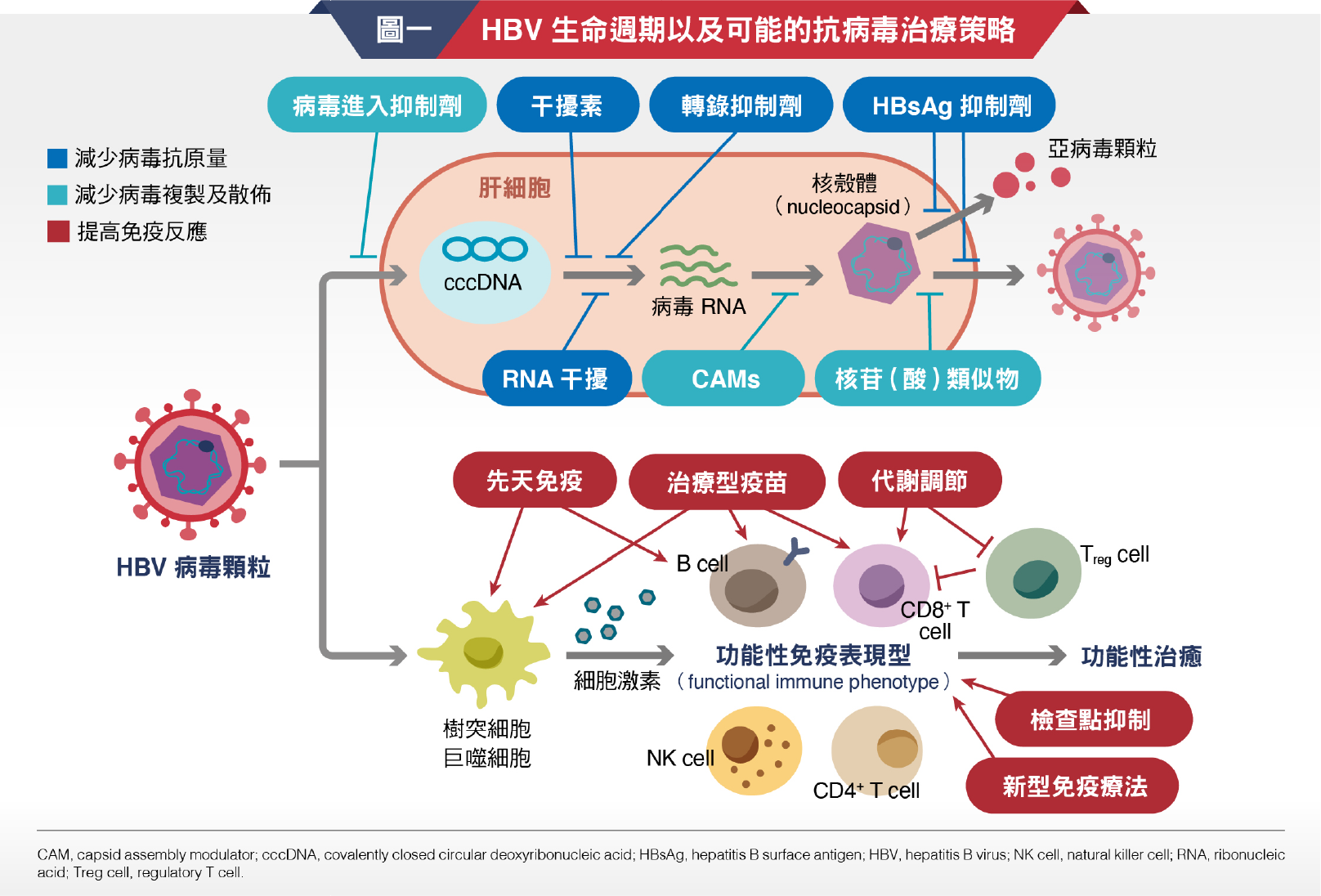 圖一