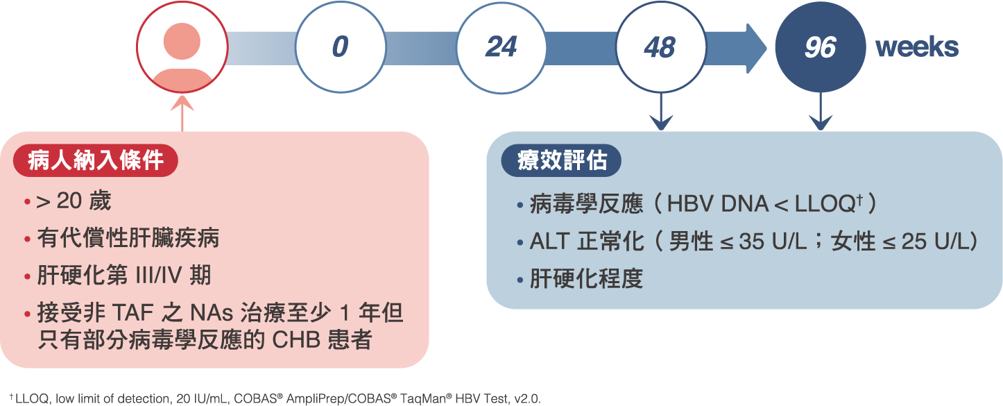 研究圖表